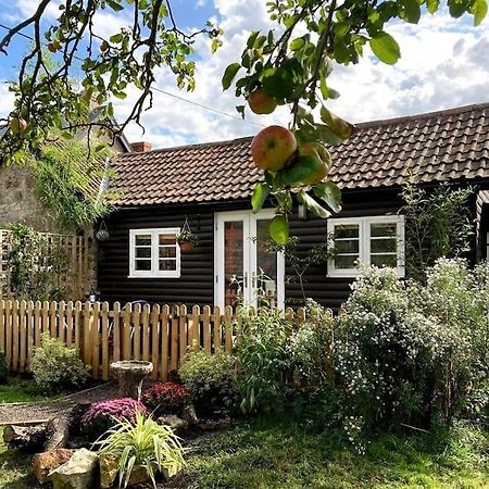 Cosy Studio Retreat In Wells, Somerset Екстериор снимка